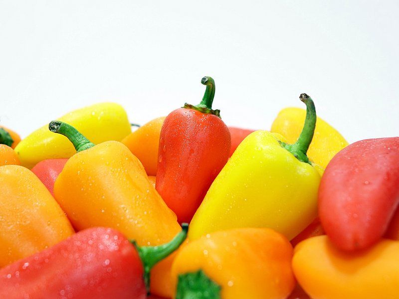 19 Safe and Nutritious Vegetables Dogs Can Enjoy 12 Bell Peppers