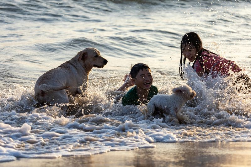 10 reasons large dogs make life better in ways small dogs can’t 7 They can handle rough play better