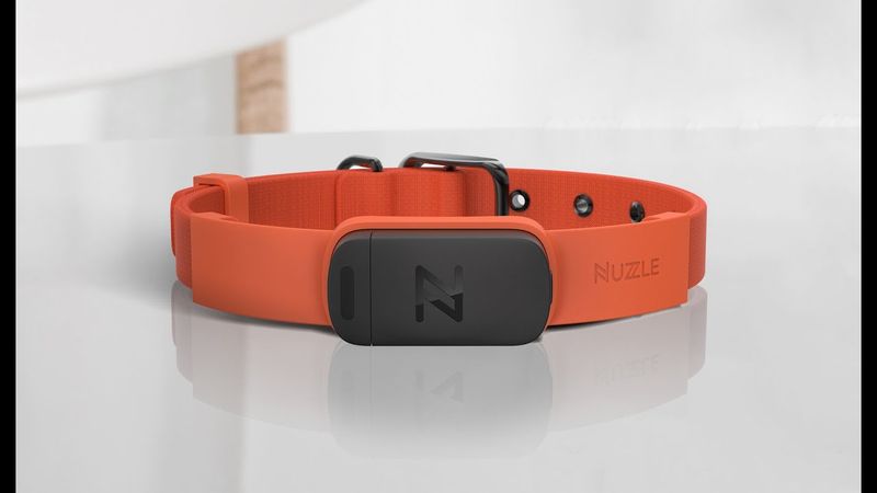 Nuzzle GPS Collar