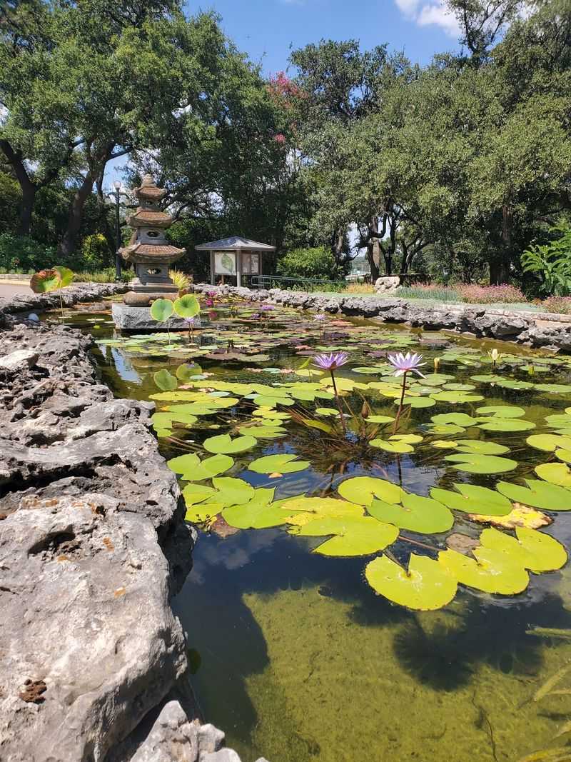 A Humble Garden Worth the Drive