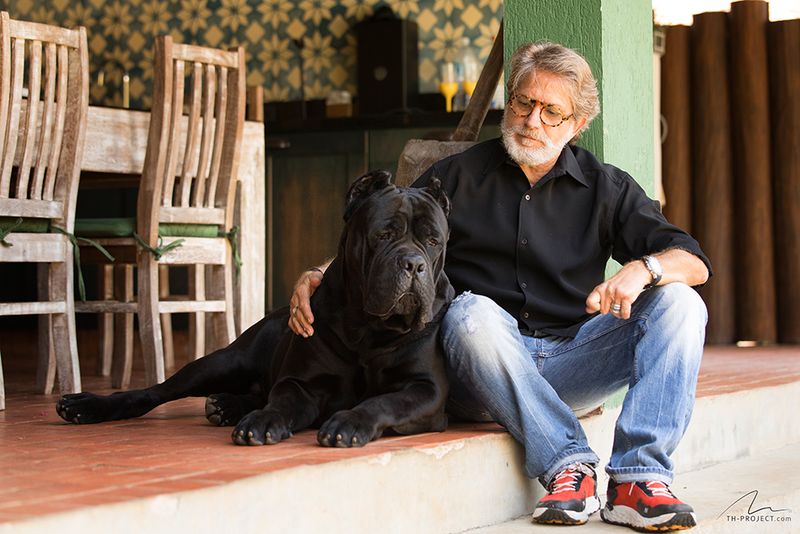These 13 dog breeds don't test your patience to be difficult - they're teaching you to become a better owner 11 Cane Corso