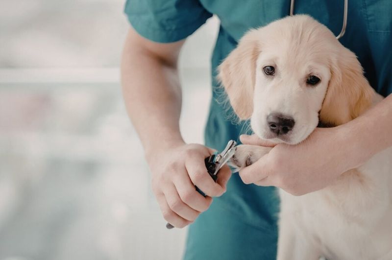 Gentle grooming routines