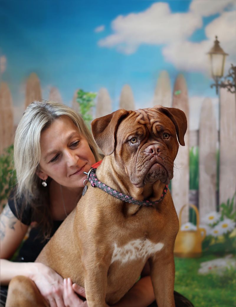 12 dogs with painfully short lifespans owners say are never easy to accept 5 Dogue de Bordeaux