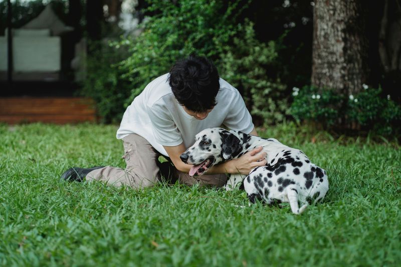 Choose the wrong energy level and your dog's morning routine may become your new fitness program 10 Dalmatian