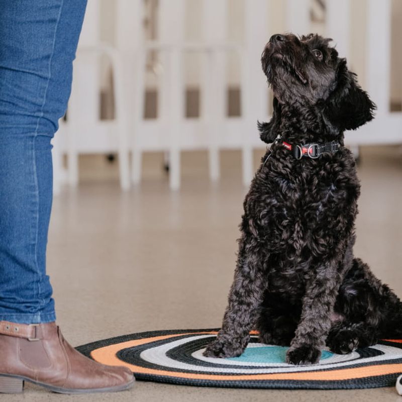 Sitting on your feet