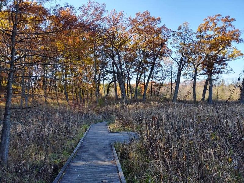 Hills, Woods, and Flat Wetland Side by Side