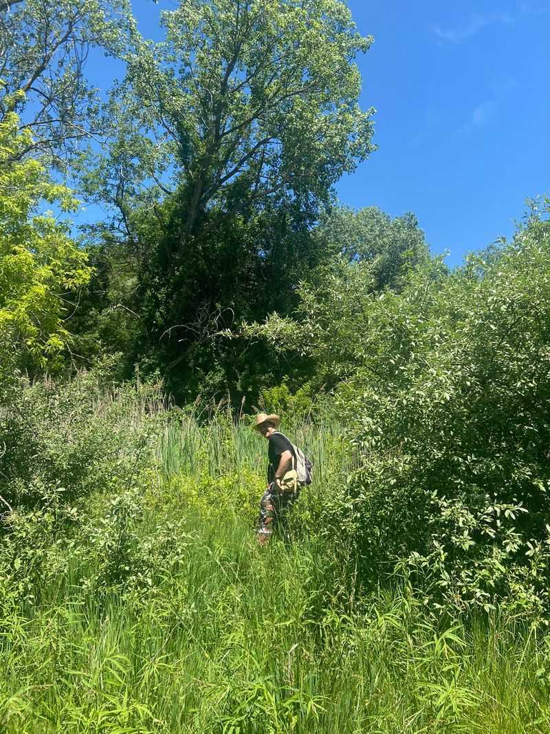 Trails, Bushwhacking, and Getting Your Bearings
