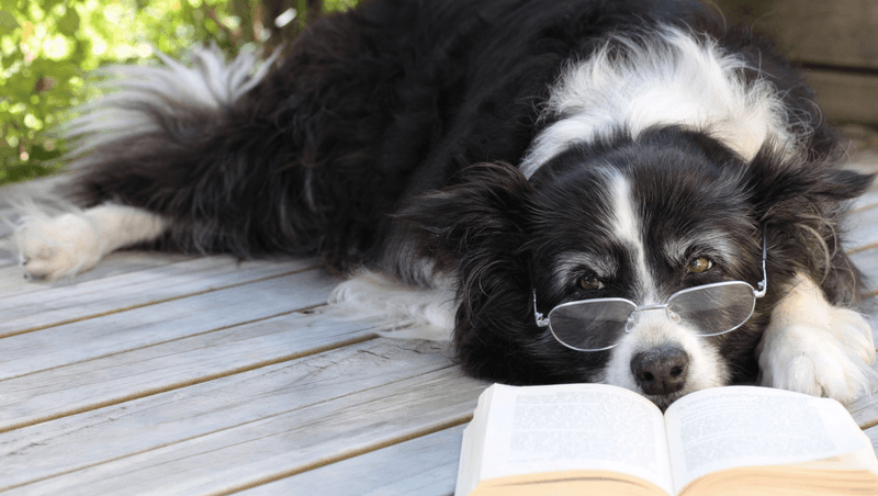 Slow, deliberate movements