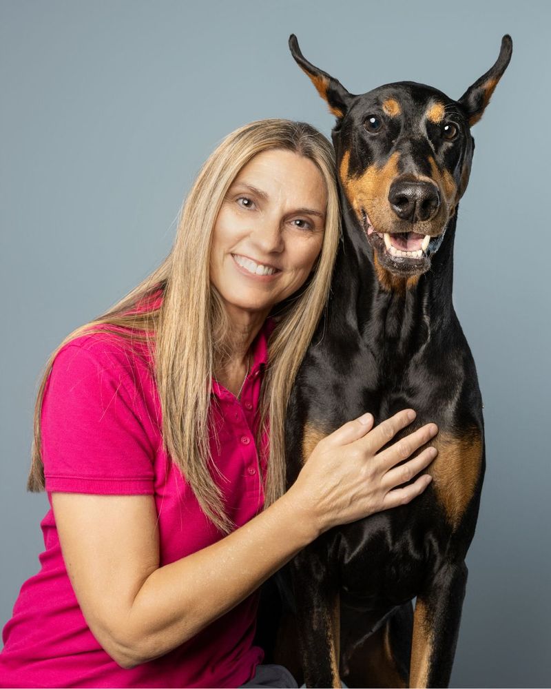 Breed reputation tells only part of the bite-risk story - training and circumstances matter enormously 11 Doberman Pinscher