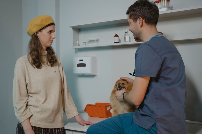 Swapping your dog's food too fast causes tummy trouble, so try these 8 gentler steps 2 Check in with your vet before you switch