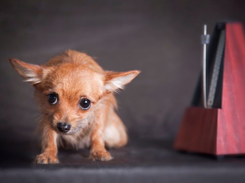 Avoiding eye contact during stressful moments