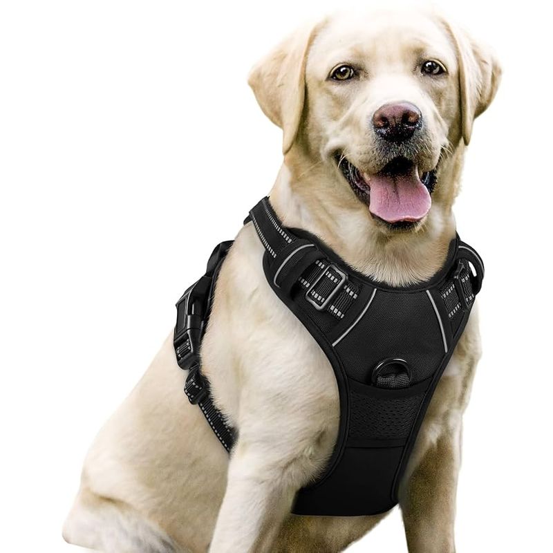 No-Pull Harness