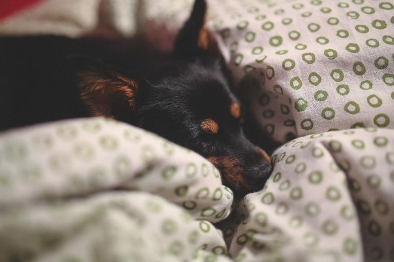 Sleeping deeply near you