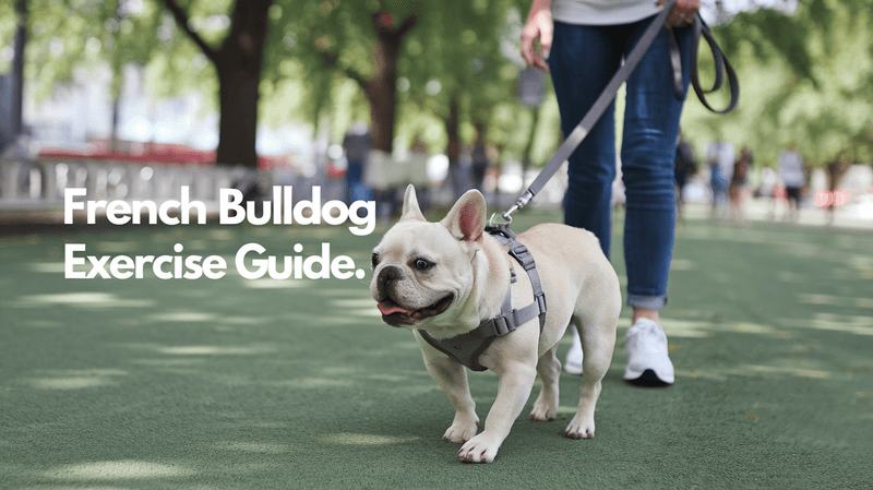 sniffing the air intensely