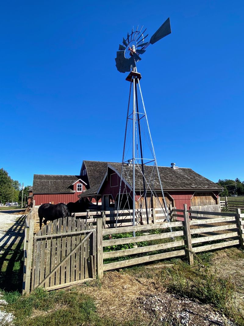 A Working Farm Inside Cook County