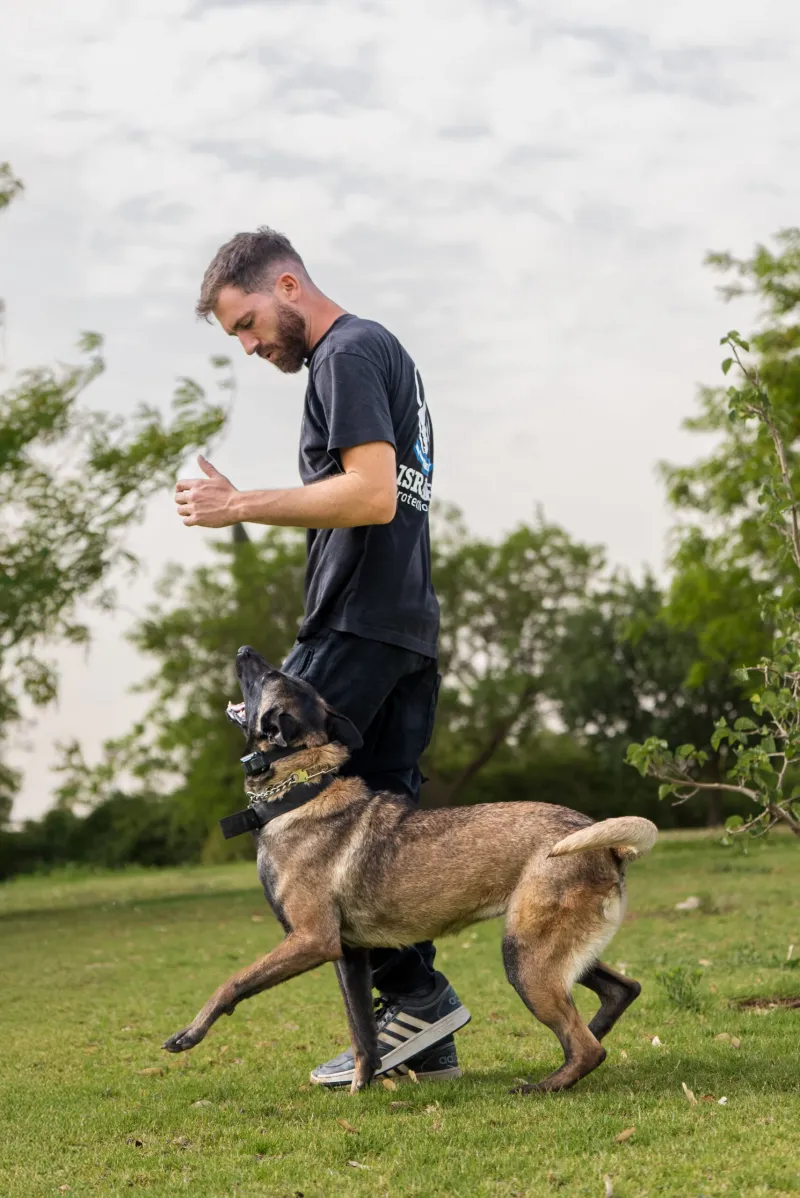 Training differences are usually minor