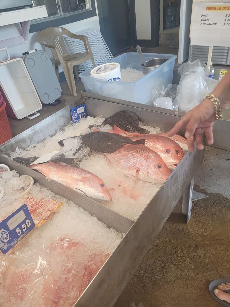 Snapper, Flounder and Oysters in the Case