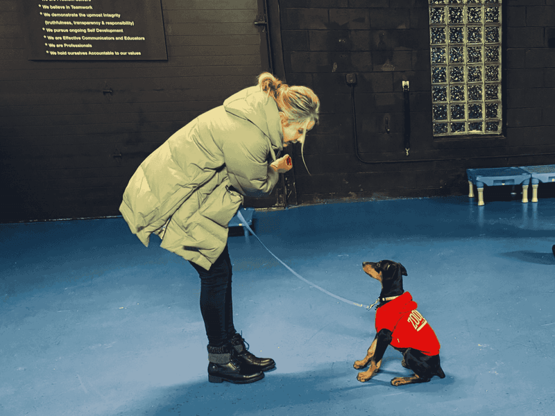 Consistent training sessions