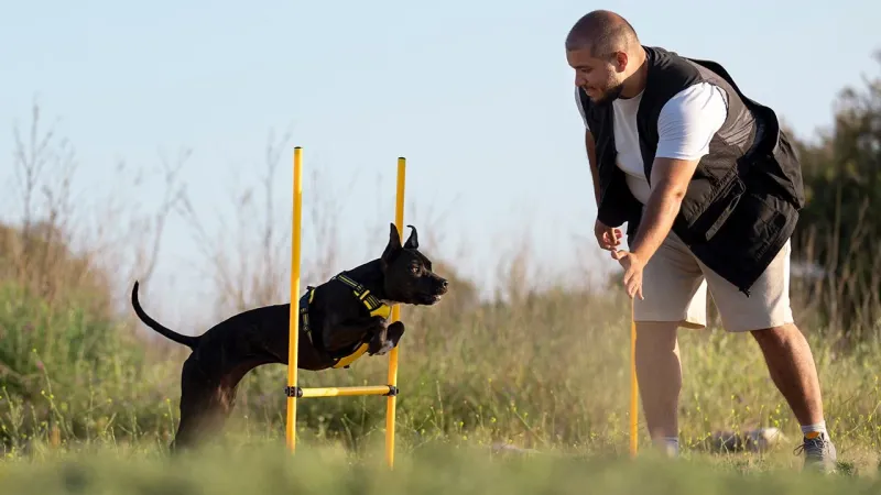 Punishment-based training