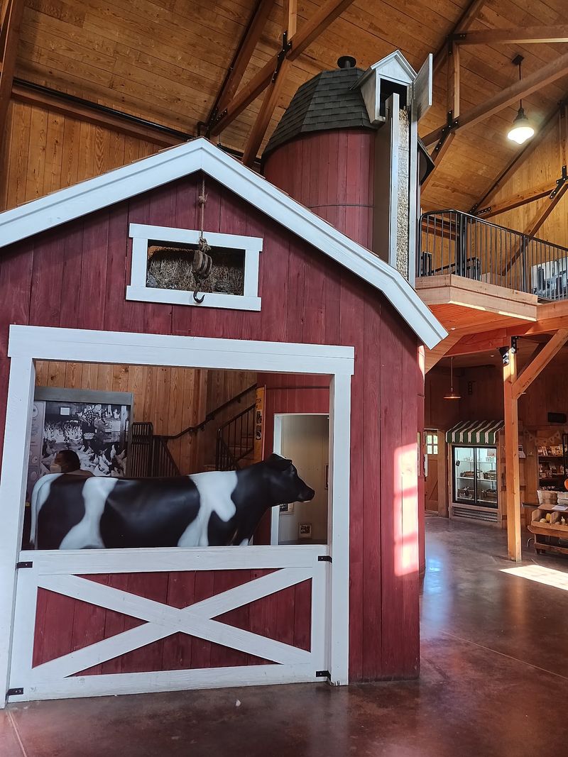 Milking Time at the Parlor
