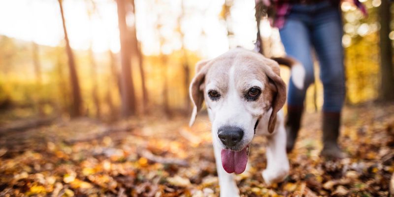 walking away from stimulation to decompress