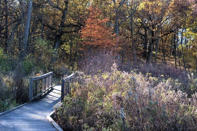 Foggy Mornings and Autumn Color