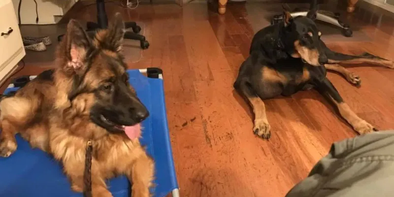 Preferring independent play