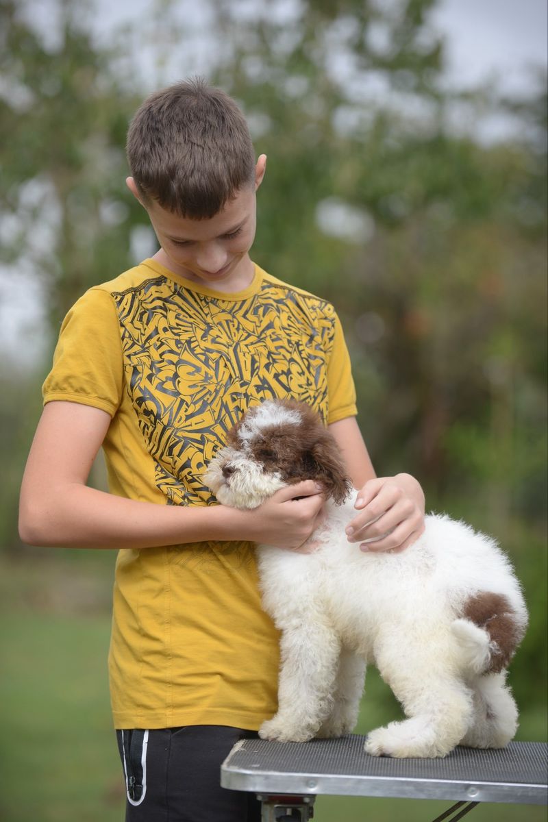 Many “Behavior Problems” Start Here - 10 Daily Mistakes Owners Don’t Notice 5 Skipped rest time