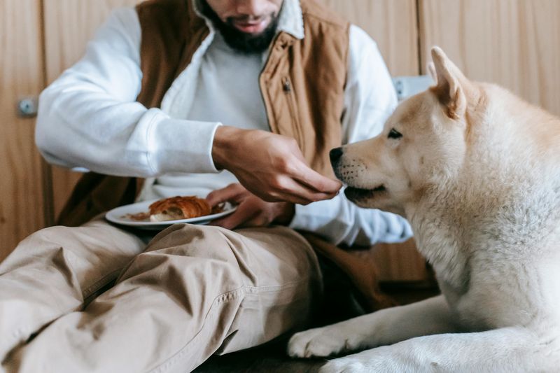 Staring dramatically while you eat