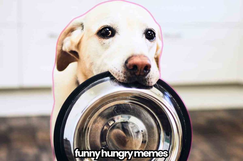 Acting hungry right after eating