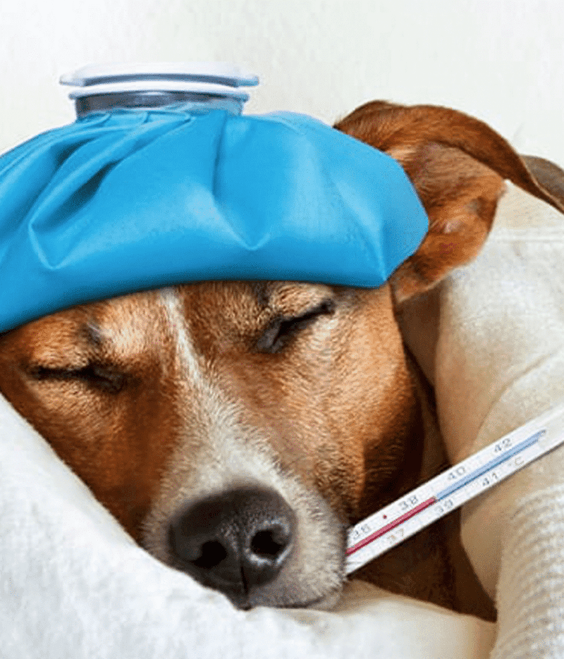 Changes in breathing patterns