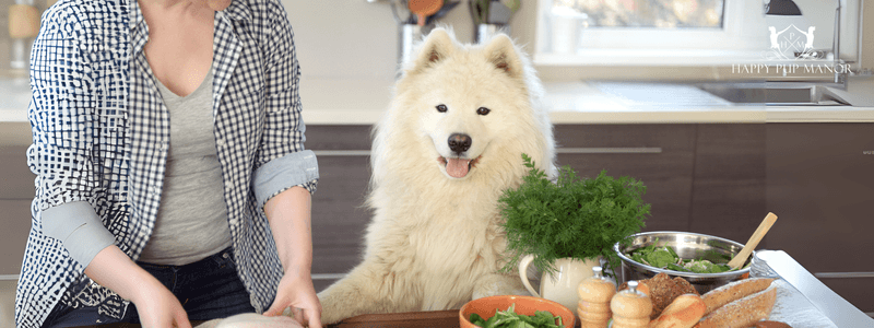 9 foods people think are dangerous for dogs but are usually fine 10 Plain cooked turkey