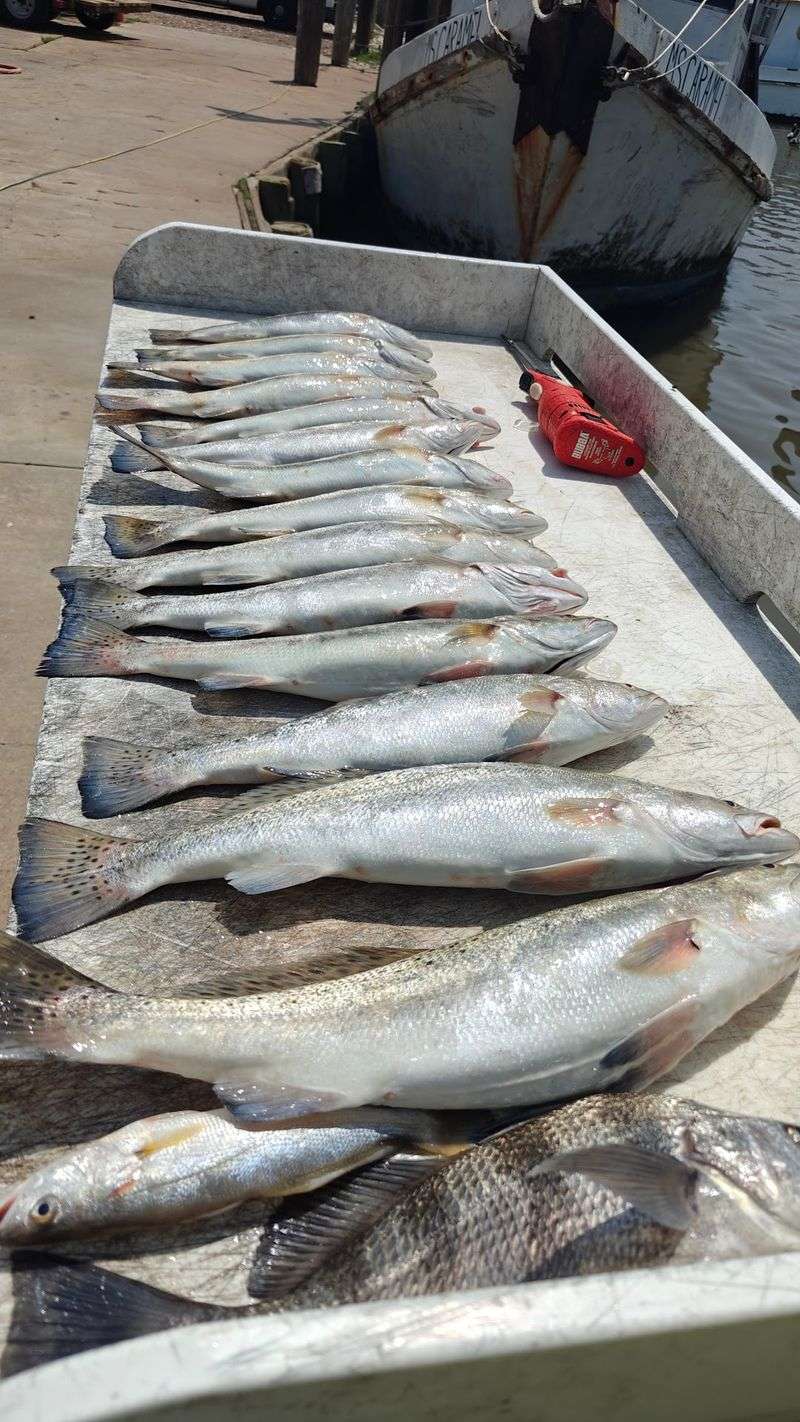 Bait and Ice for the Fishing Crowd