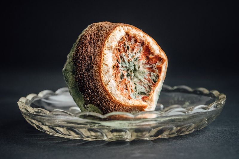 Moldy foods
