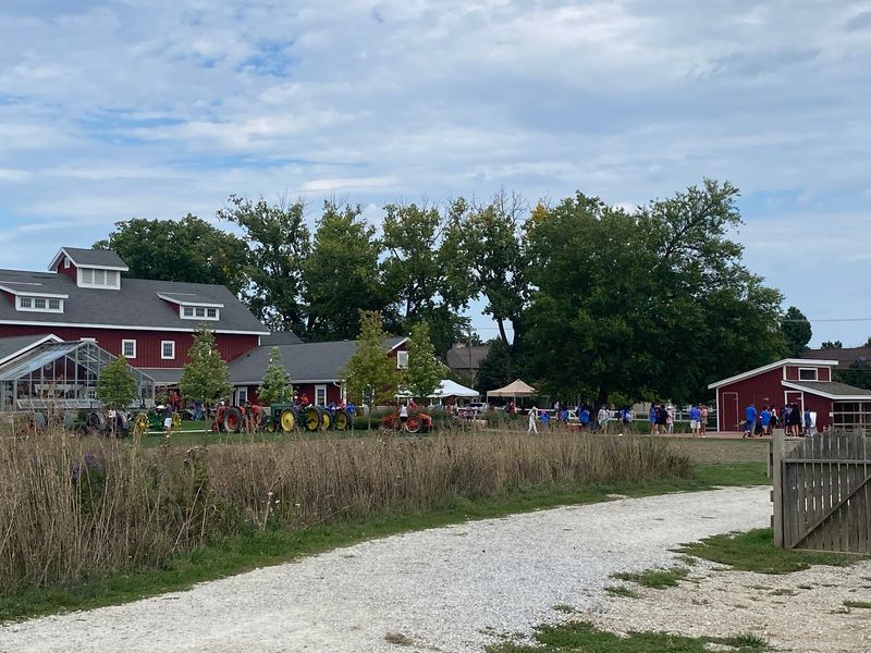 Saturday Mornings at the Farmers Market