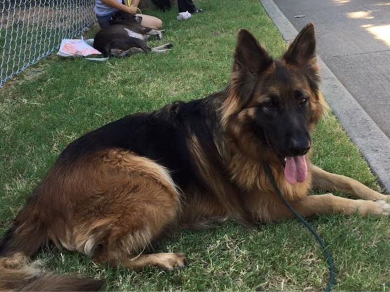 Cold-soak cooling mats