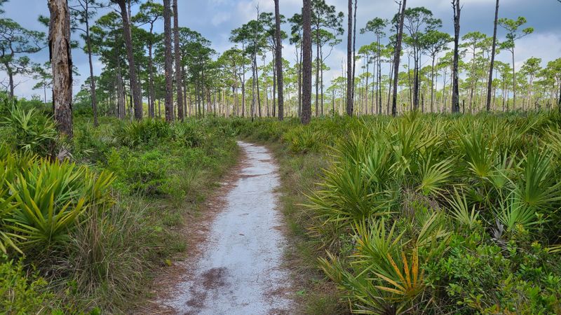 Jonathan Dickinson State Park - Hobe Sound, Florida
