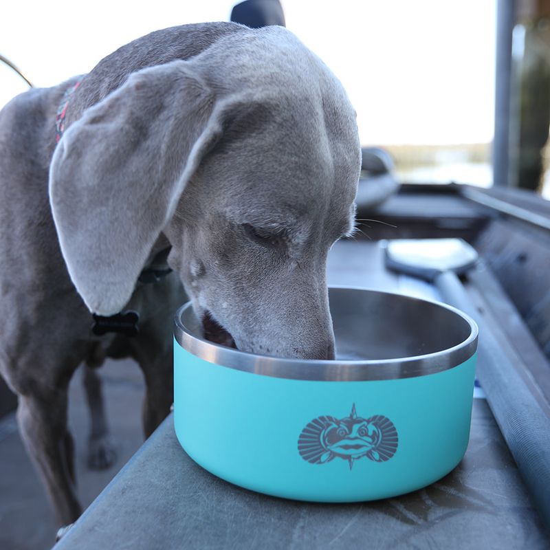These 11 feeding habits quietly damage your dog's digestion over time 9 Allowing dogs to eat too quickly