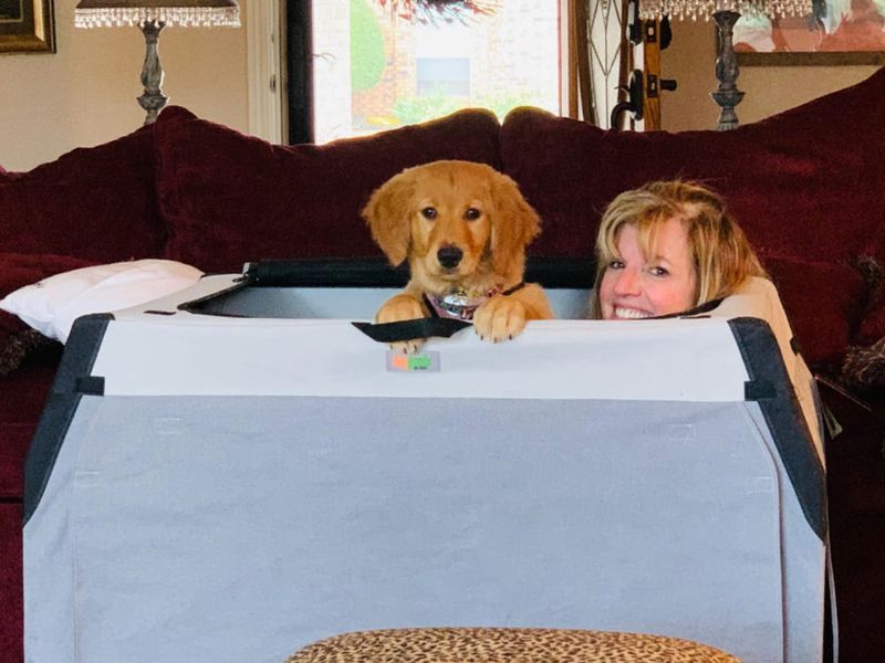 Anxiety when the household settles down