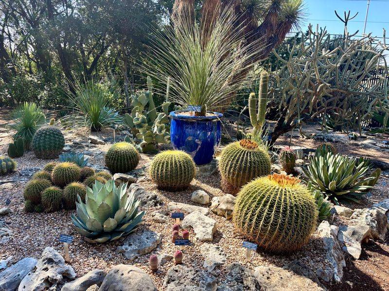 Butterflies, Succulents, and a Fairy Trail