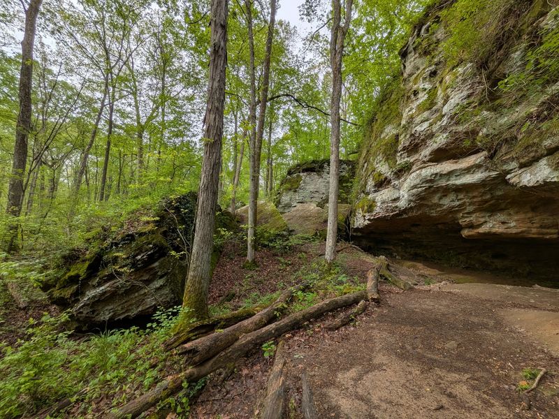 Trails, Bluffs, and Horseback Rides Next Door