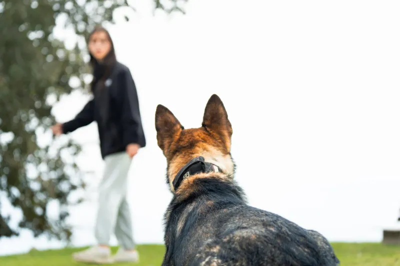 Exceptional intelligence