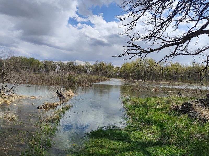 A Floodplain Hideaway Near the Wisconsin Line