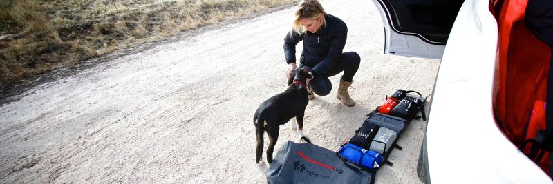 10 must-pack dog travel essentials that make every trip smoother 4 Leash and backup leash