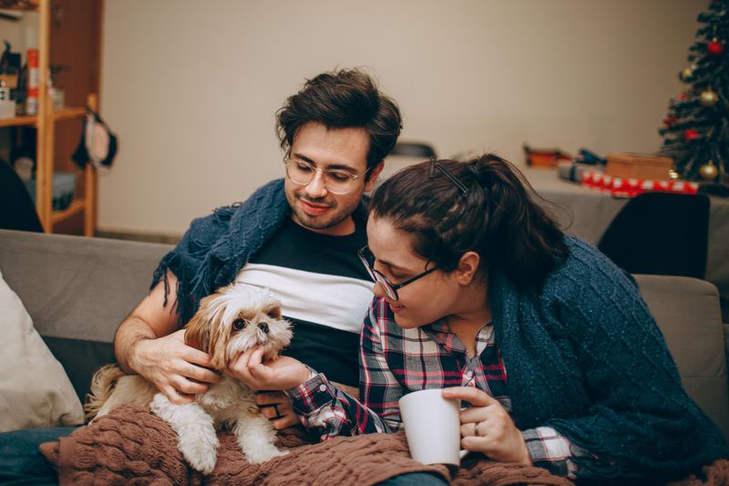 13 dog breeds that may never outsmart you - and somehow make you love them even more for it 8 Shih Tzu