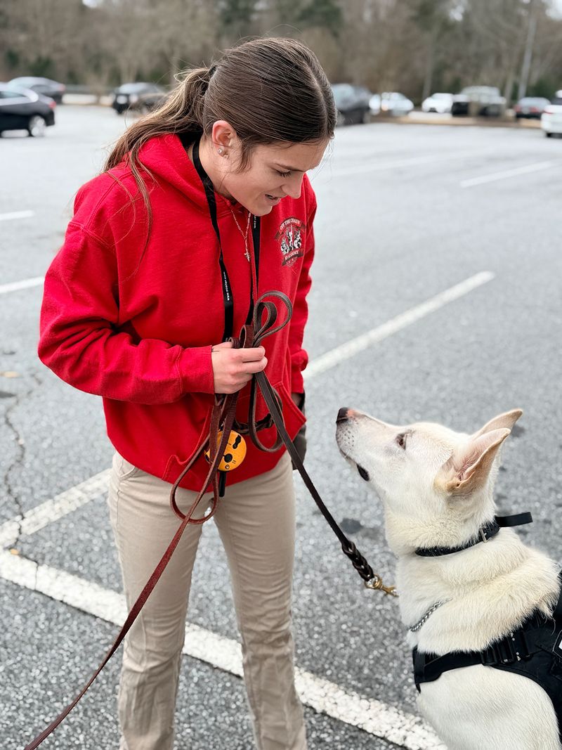 These 15 dog behavior mistakes are surprisingly common - even among knowledgeable owners 9 Expecting too much too soon