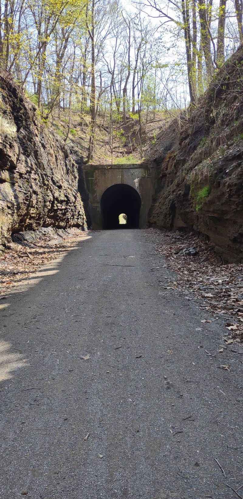 A Rail Line Reborn in the Shawnee Hills