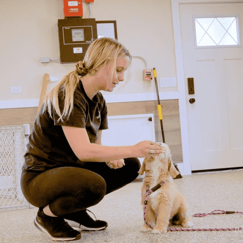 watches doors and routines connected to them