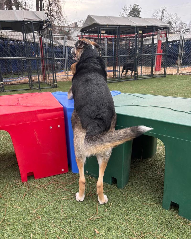 Constantly seeking the next activity