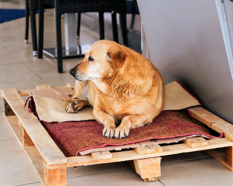 Sleeping alone by choice